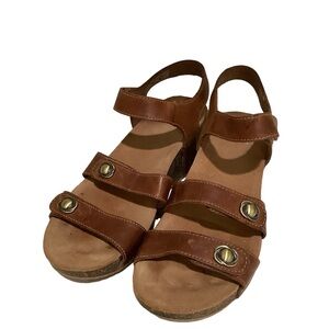 Dansko Savannah Ankle Strap Cork Wedge